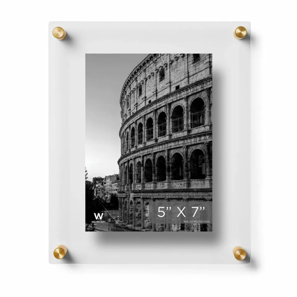 Wexel Art Double Panel Clear Acrylic Floating Wall Frame with Gold Hardware