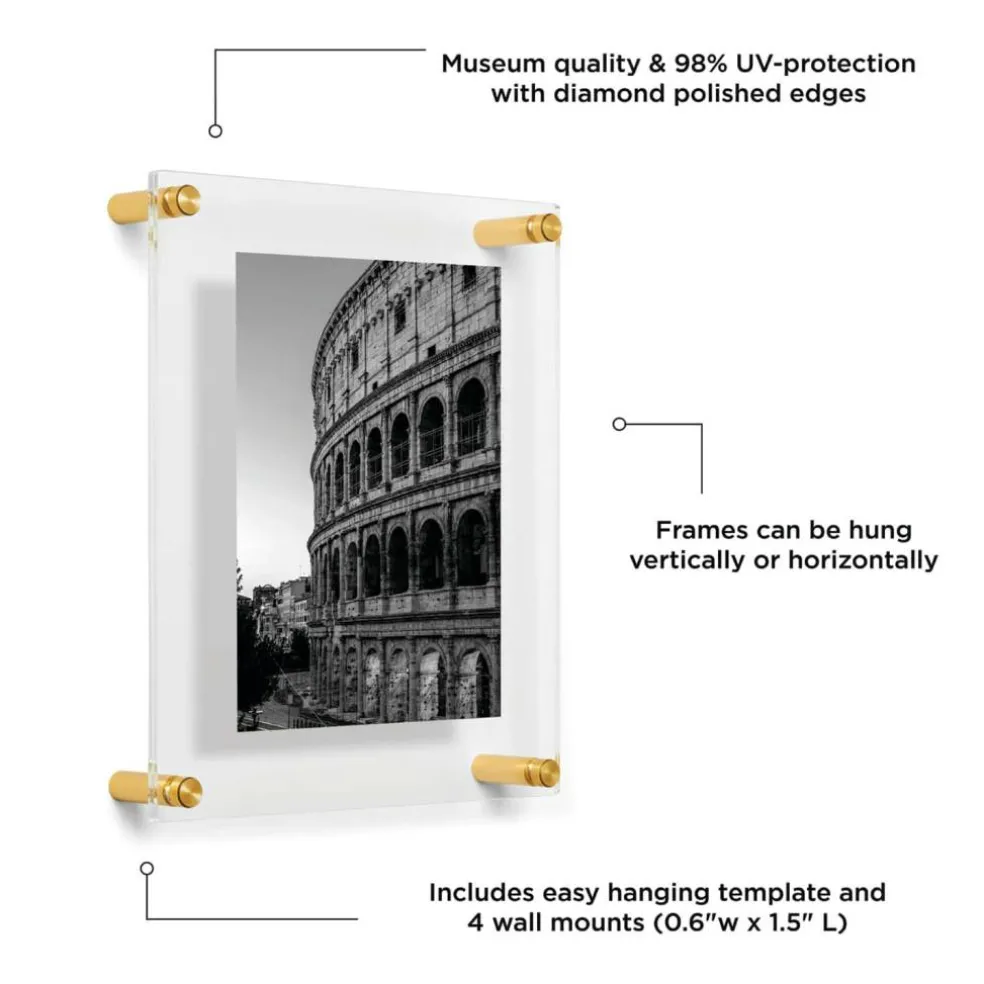 Wexel Art Double Panel Clear Acrylic Floating Wall Frame with Gold Hardware