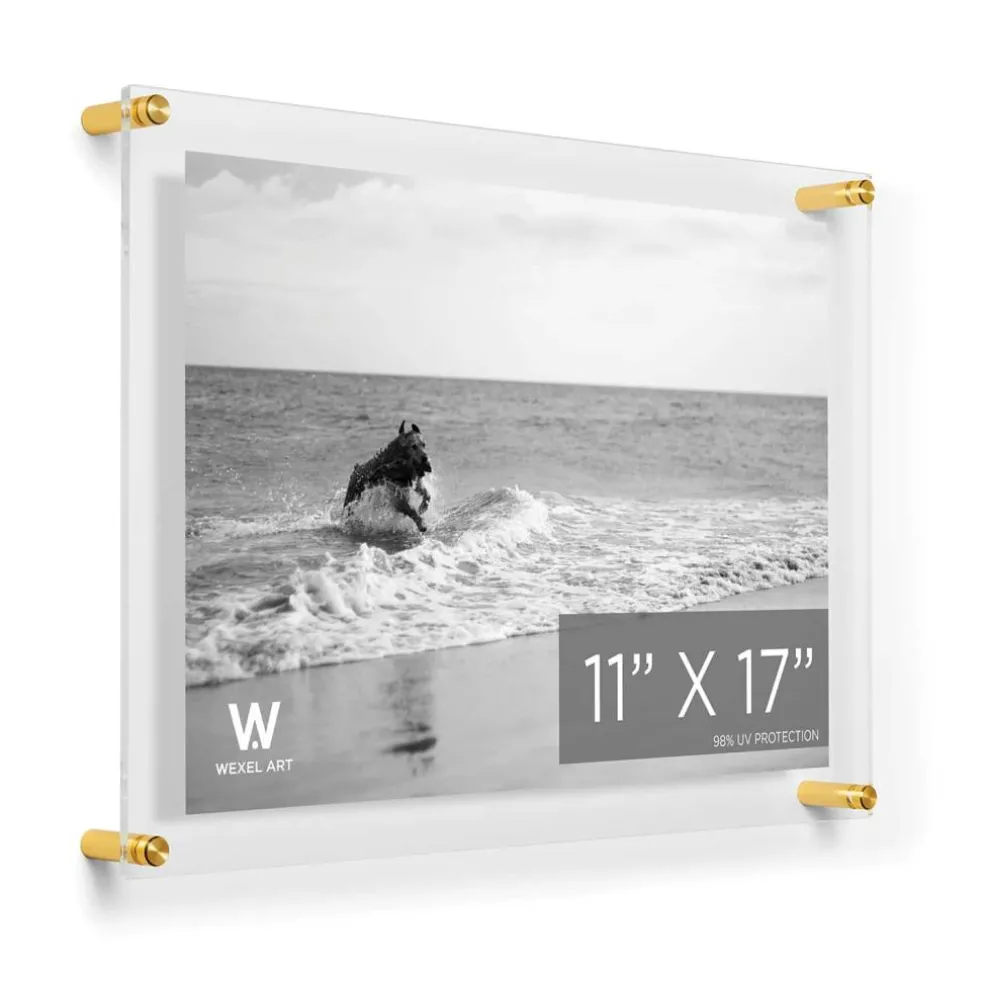Wexel Art Double Panel Clear Acrylic Floating Wall Frame with Gold Hardware