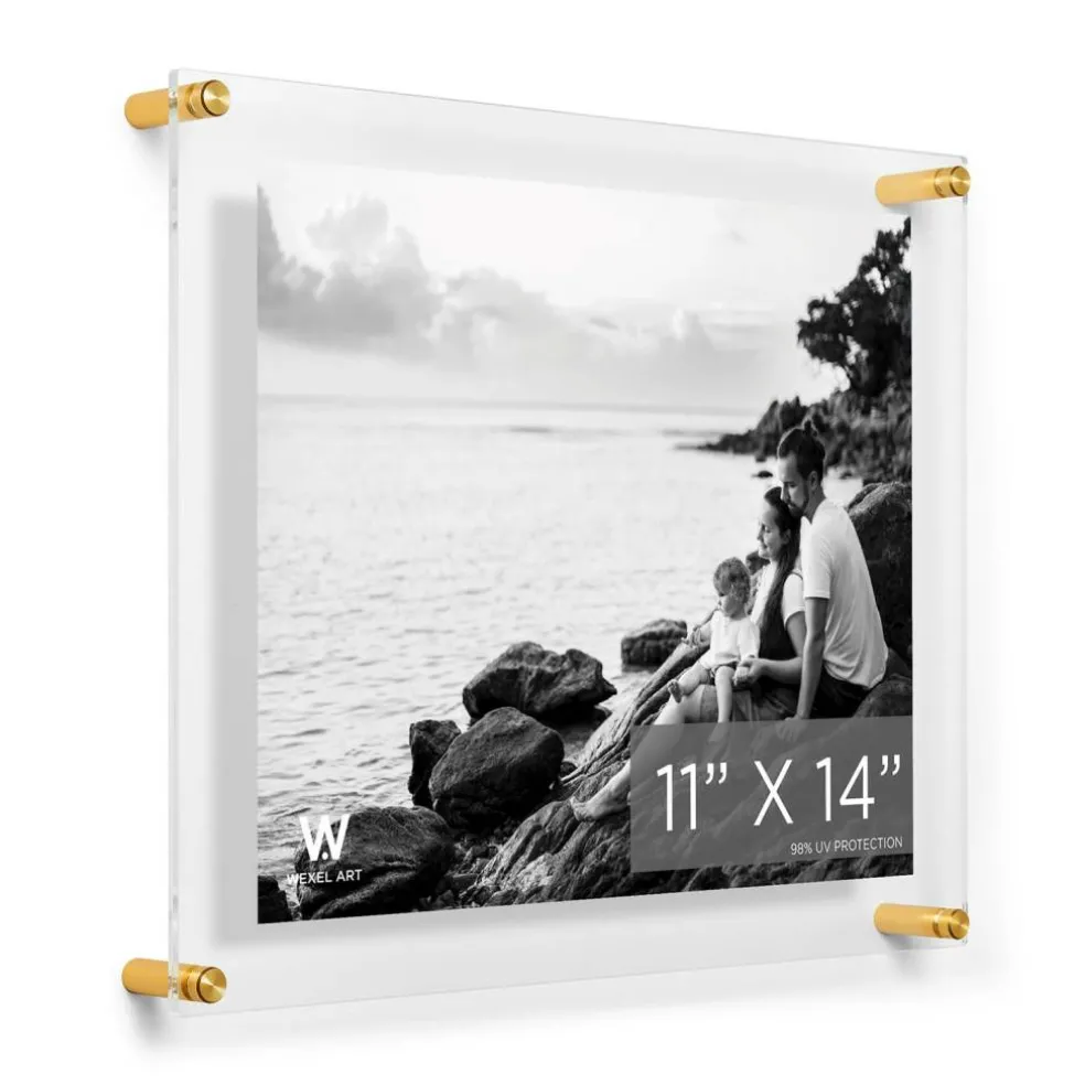 Wexel Art Double Panel Clear Acrylic Floating Wall Frame with Gold Hardware