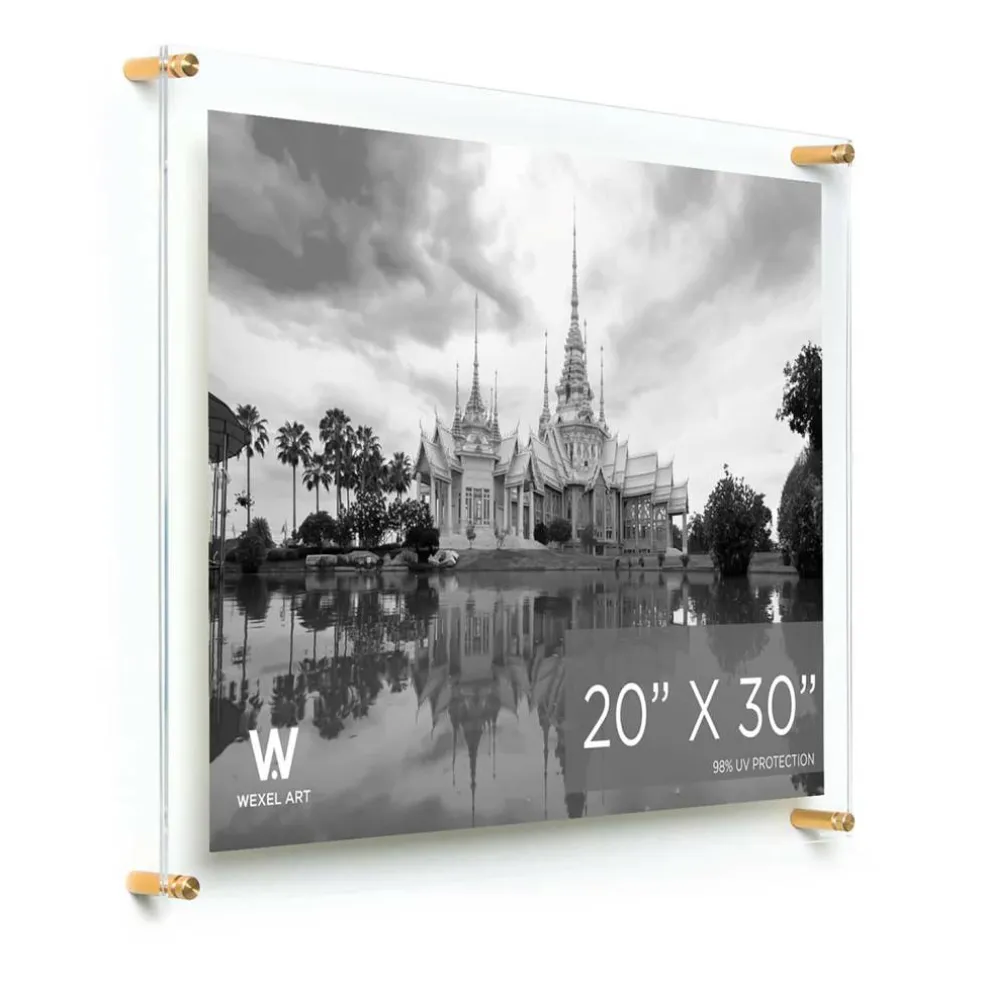 Wexel Art Double Panel Clear Acrylic Floating Wall Frame with Gold Hardware