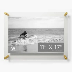 Wexel Art Double Panel Clear Acrylic Floating Wall Frame with Gold Hardware