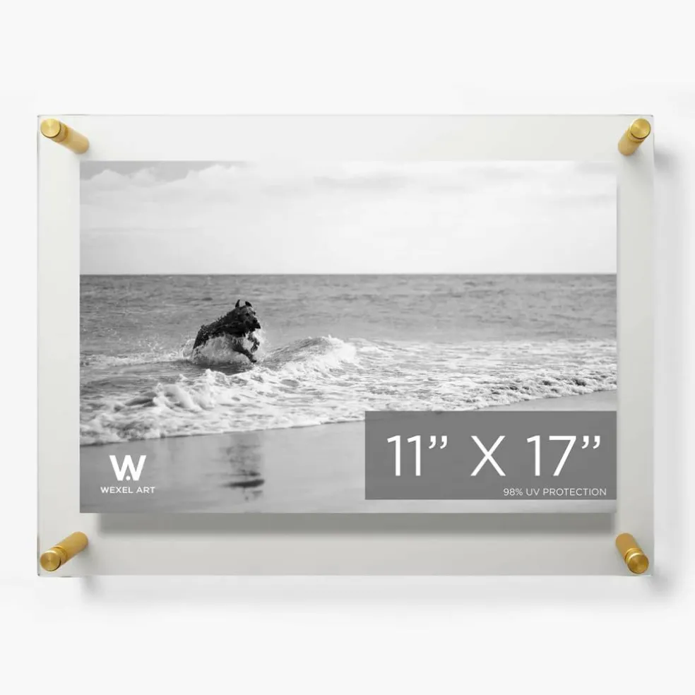 Wexel Art Double Panel Clear Acrylic Floating Wall Frame with Gold Hardware