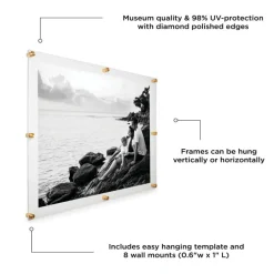 Wexel Art Double Panel Clear Acrylic Floating Wall Frame with Gold Hardware
