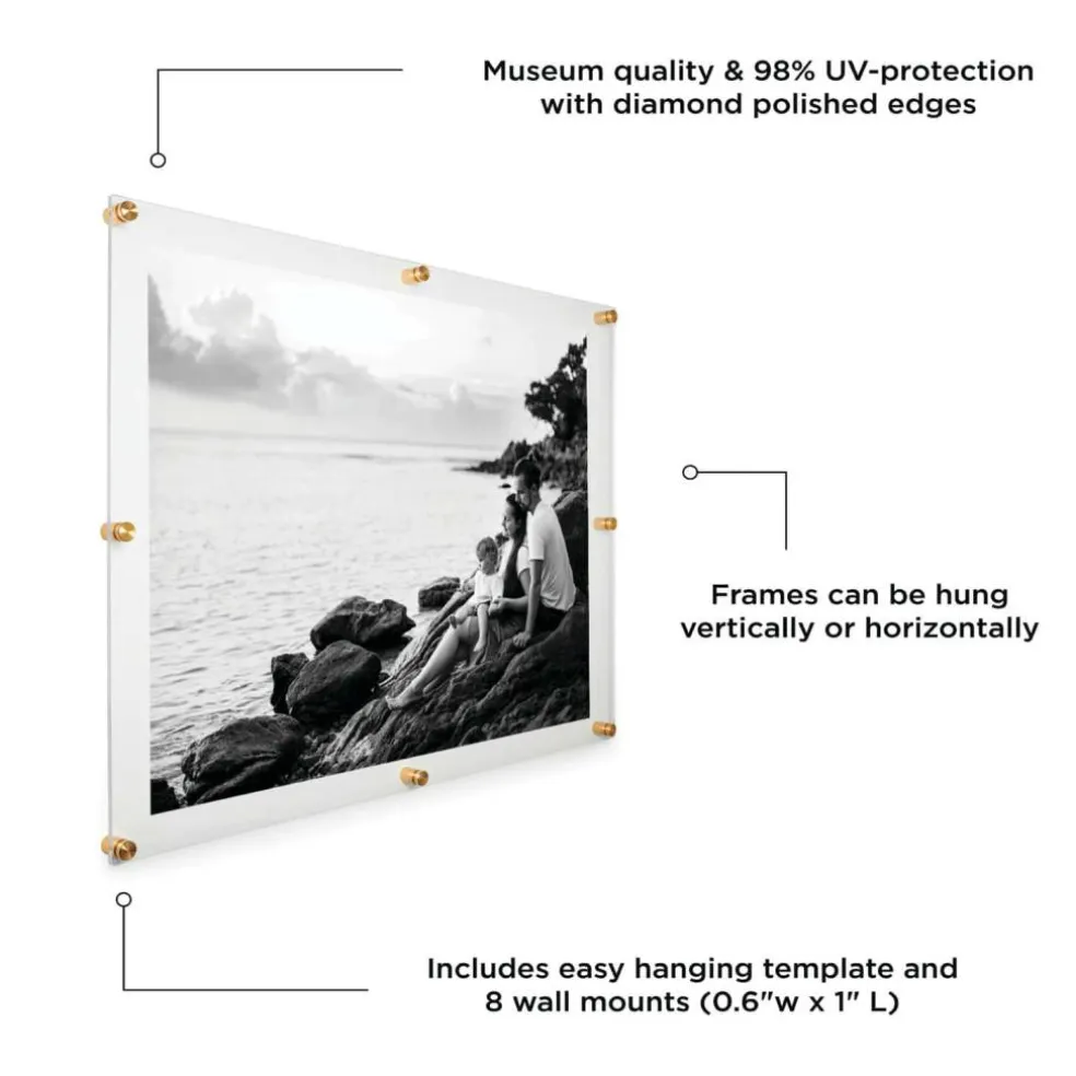 Wexel Art Double Panel Clear Acrylic Floating Wall Frame with Gold Hardware