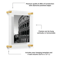 Wexel Art Double Panel Clear Acrylic Floating Wall Frame with Gold Hardware