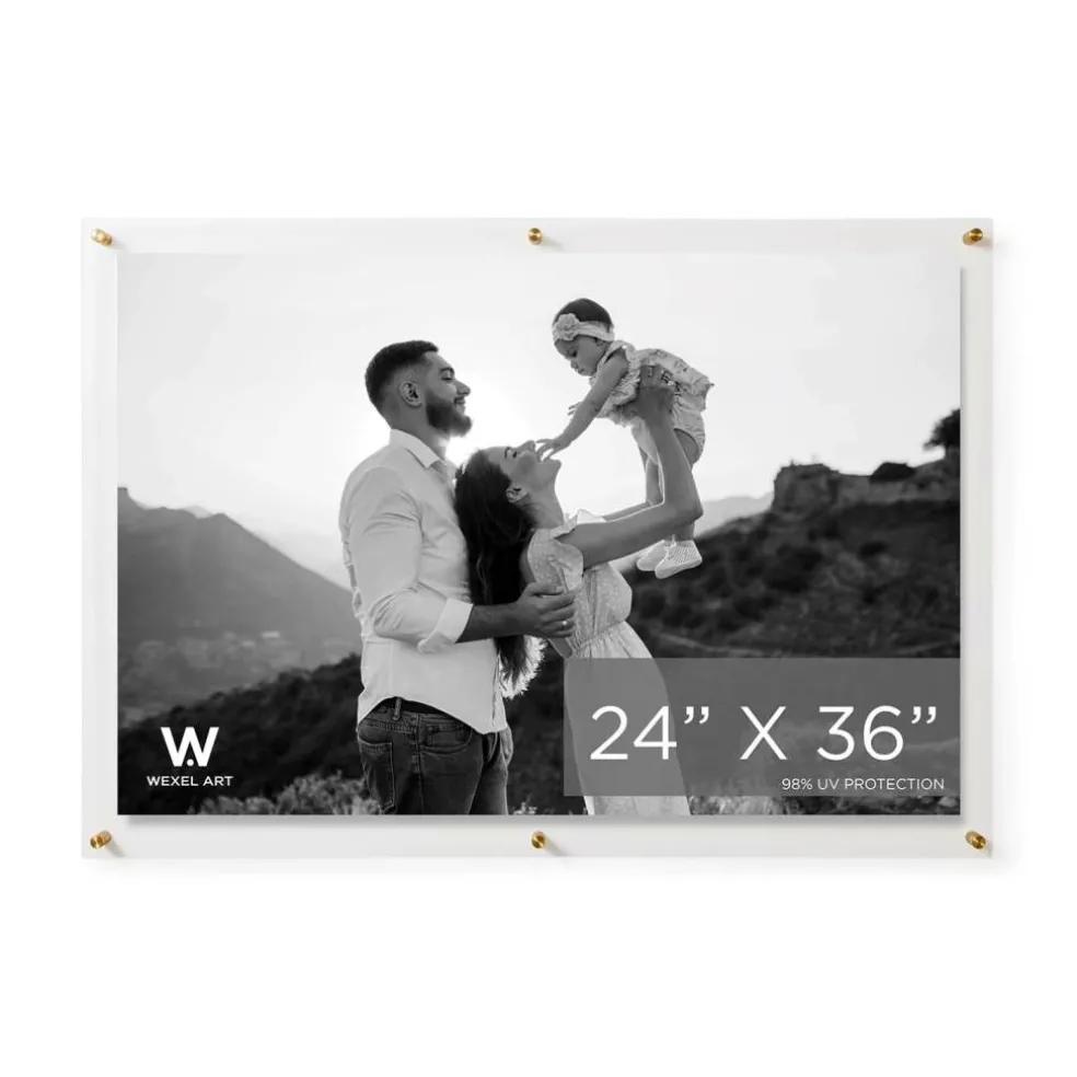 Wexel Art Double Panel Clear Acrylic Floating Wall Frame with Gold Hardware