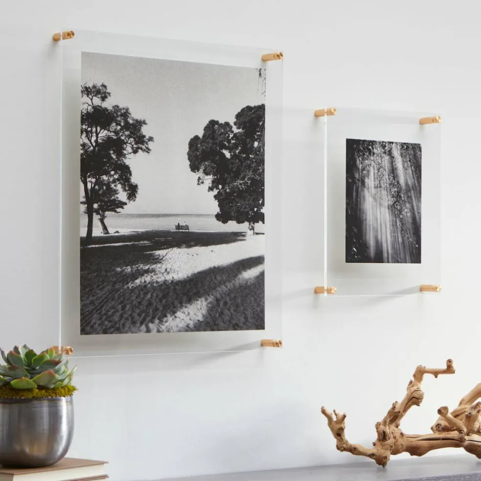 Wexel Art Double Panel Clear Acrylic Floating Wall Frame with Gold Hardware