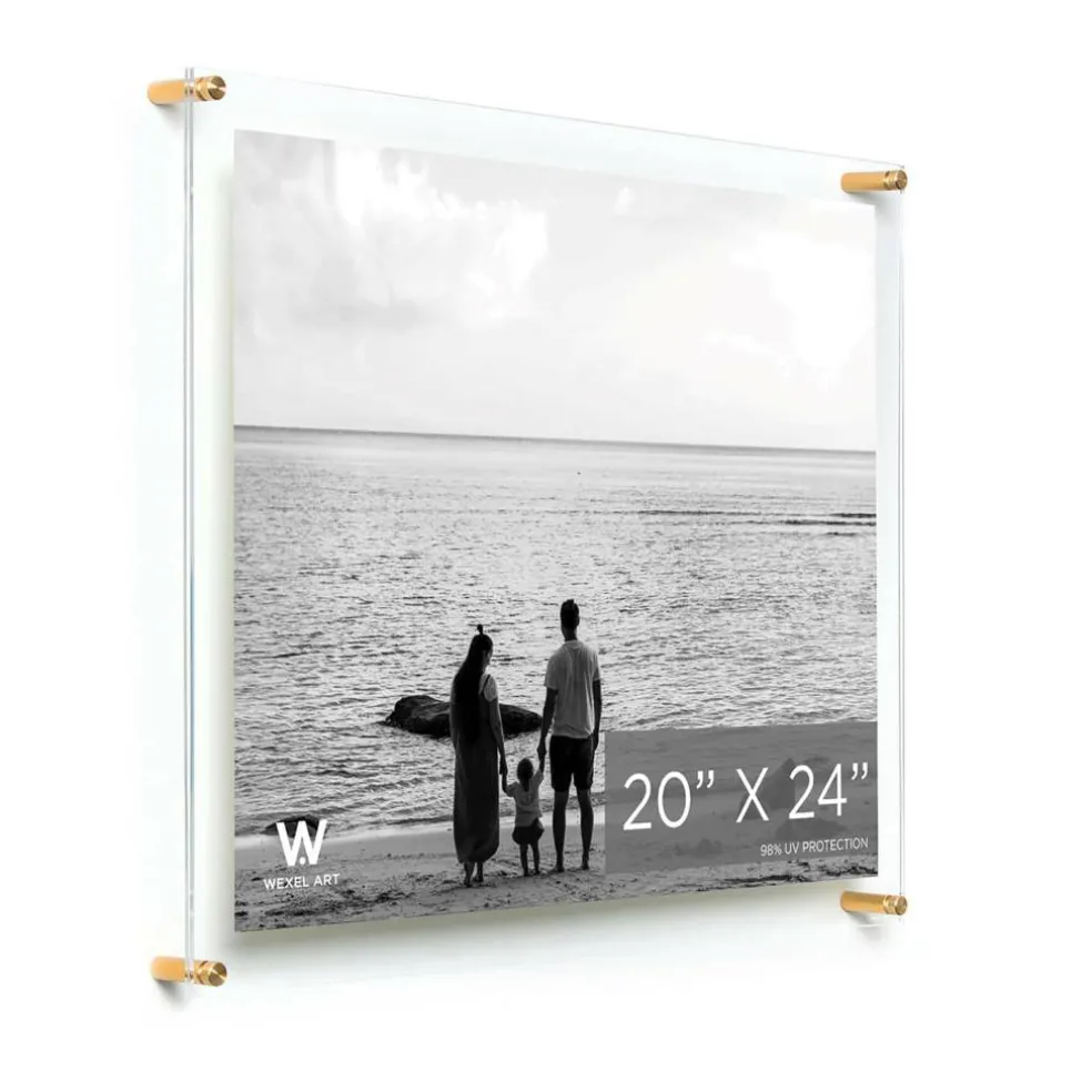Wexel Art Double Panel Clear Acrylic Floating Wall Frame with Gold Hardware
