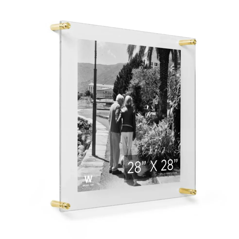 Wexel Art Double Panel Clear Acrylic Floating Wall Frame with Gold Hardware
