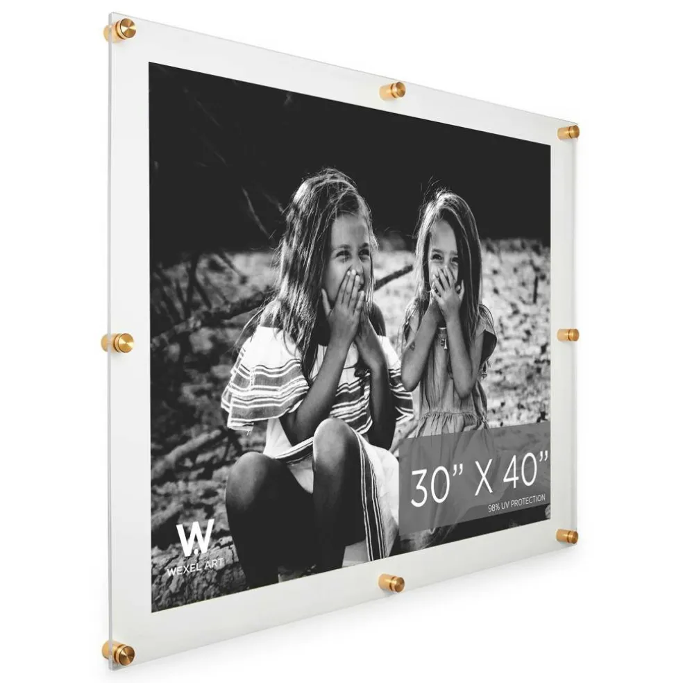 Wexel Art Double Panel Clear Acrylic Floating Wall Frame with Gold Hardware