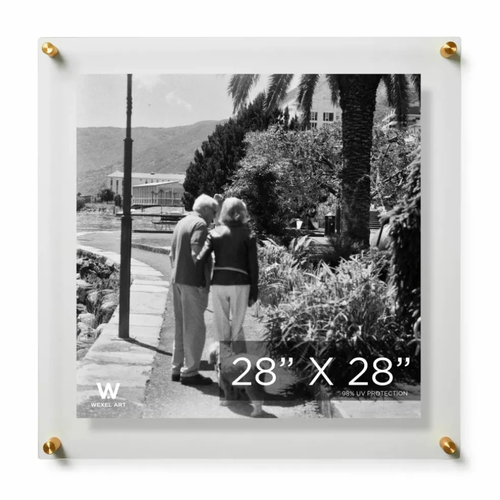 Wexel Art Double Panel Clear Acrylic Floating Wall Frame with Gold Hardware