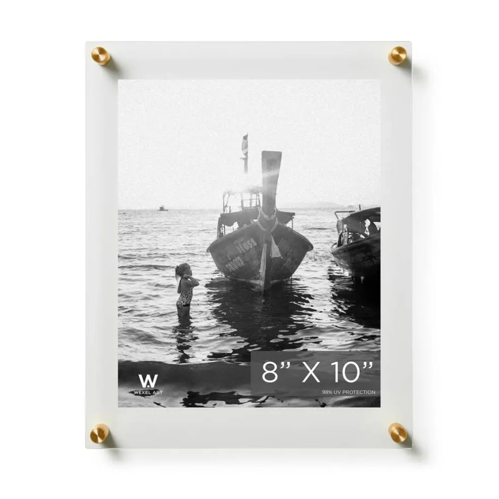 Wexel Art Double Panel Clear Acrylic Floating Wall Frame with Gold Hardware