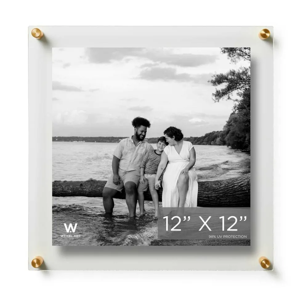 Wexel Art Double Panel Clear Acrylic Floating Wall Frame with Gold Hardware