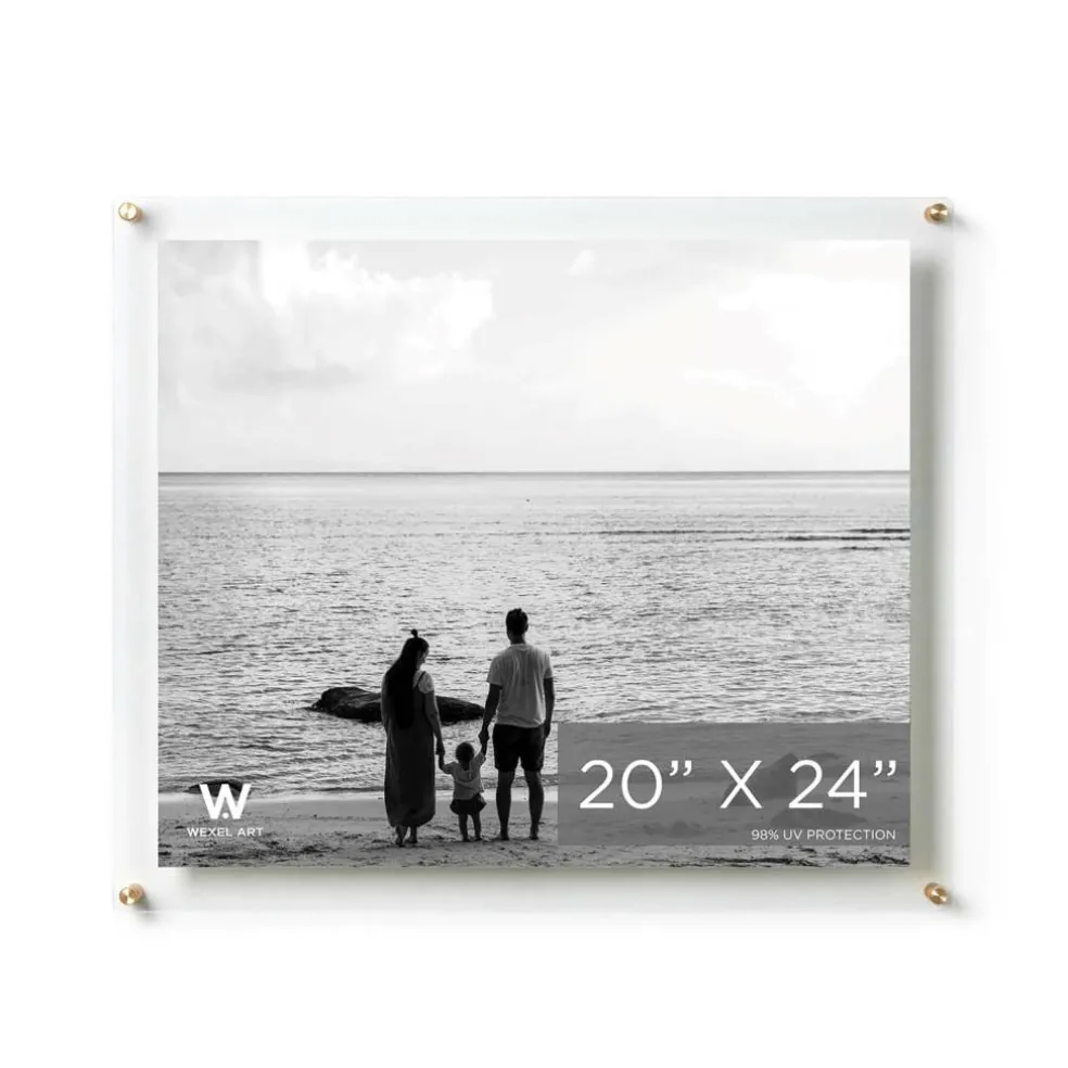 Wexel Art Double Panel Clear Acrylic Floating Wall Frame with Gold Hardware