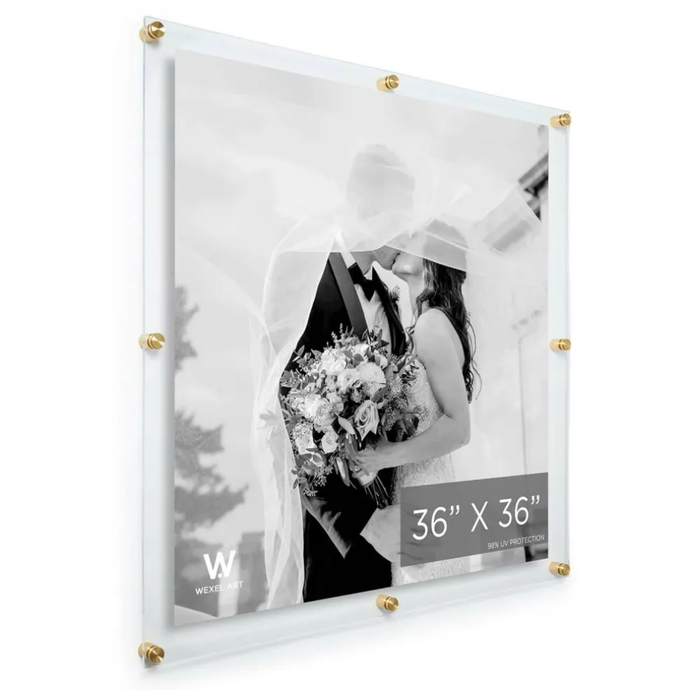 Wexel Art Double Panel Clear Acrylic Floating Wall Frame with Gold Hardware