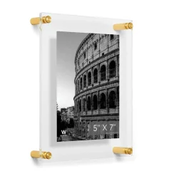 Wexel Art Double Panel Clear Acrylic Floating Wall Frame with Gold Hardware