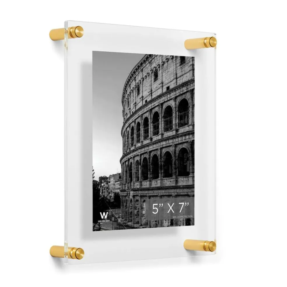 Wexel Art Double Panel Clear Acrylic Floating Wall Frame with Gold Hardware