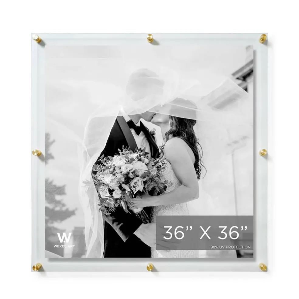 Wexel Art Double Panel Clear Acrylic Floating Wall Frame with Gold Hardware