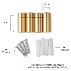 Wexel Art Double Panel Clear Acrylic Floating Wall Frame with Gold Hardware