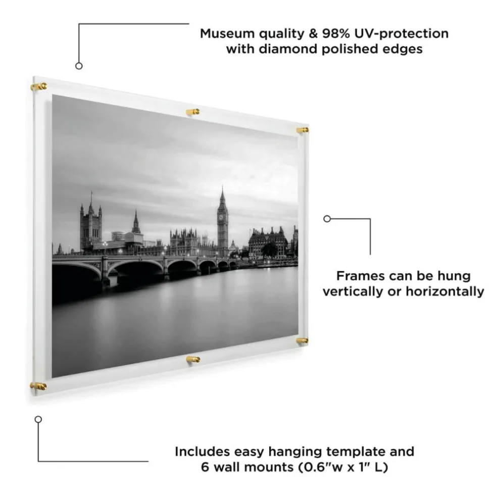 Wexel Art Double Panel Clear Acrylic Floating Wall Frame with Gold Hardware