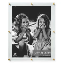 Wexel Art Double Panel Clear Acrylic Floating Wall Frame with Gold Hardware