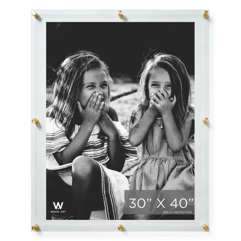 Wexel Art Double Panel Clear Acrylic Floating Wall Frame with Gold Hardware