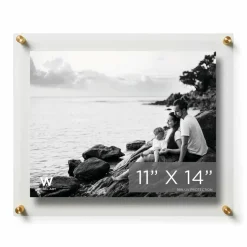Wexel Art Double Panel Clear Acrylic Floating Wall Frame with Gold Hardware
