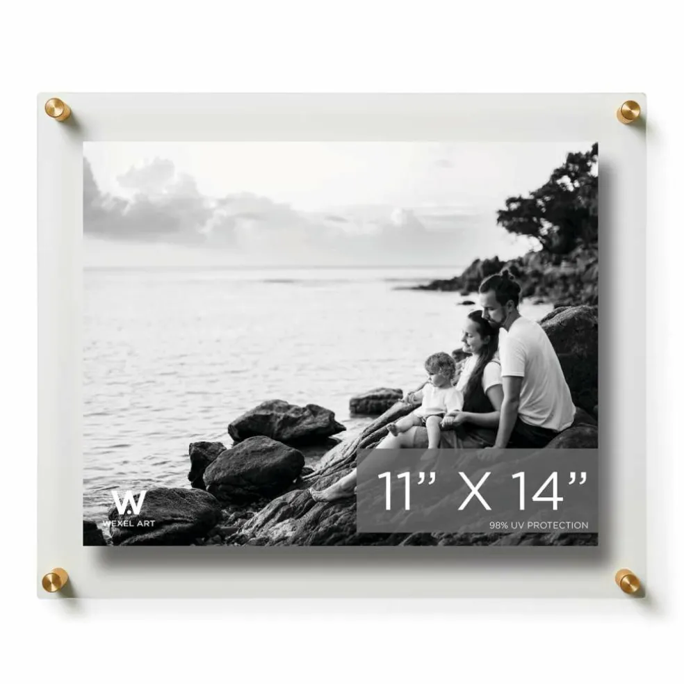 Wexel Art Double Panel Clear Acrylic Floating Wall Frame with Gold Hardware