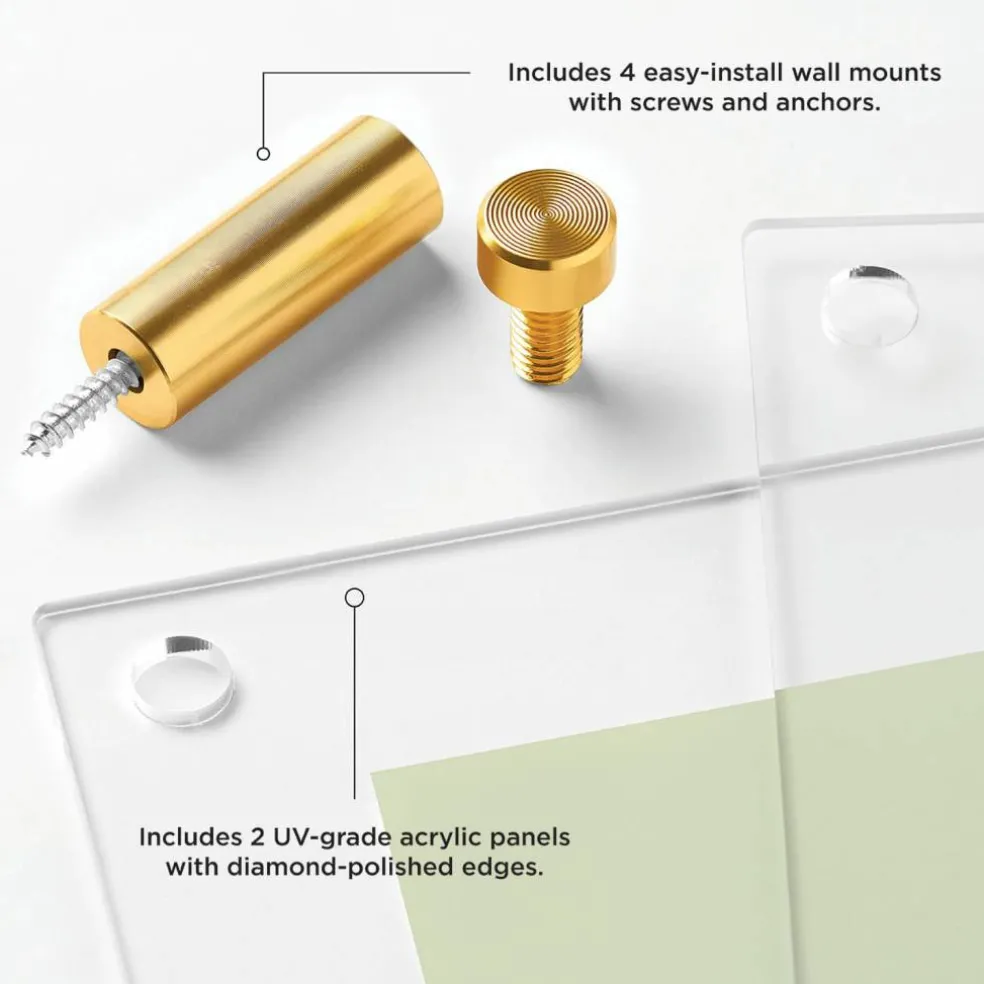 Wexel Art Double Panel Clear Acrylic Floating Wall Frame with Gold Hardware
