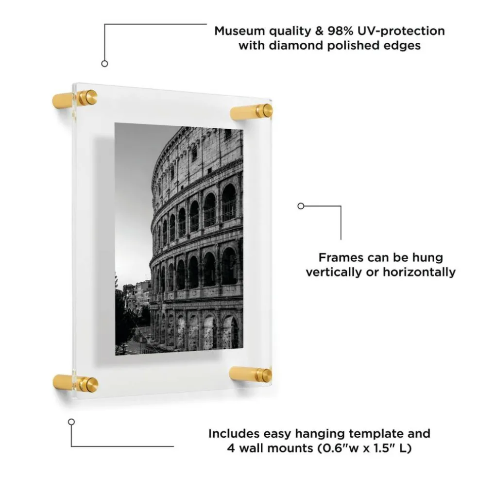 Wexel Art Double Panel Clear Acrylic Floating Wall Frame with Gold Hardware