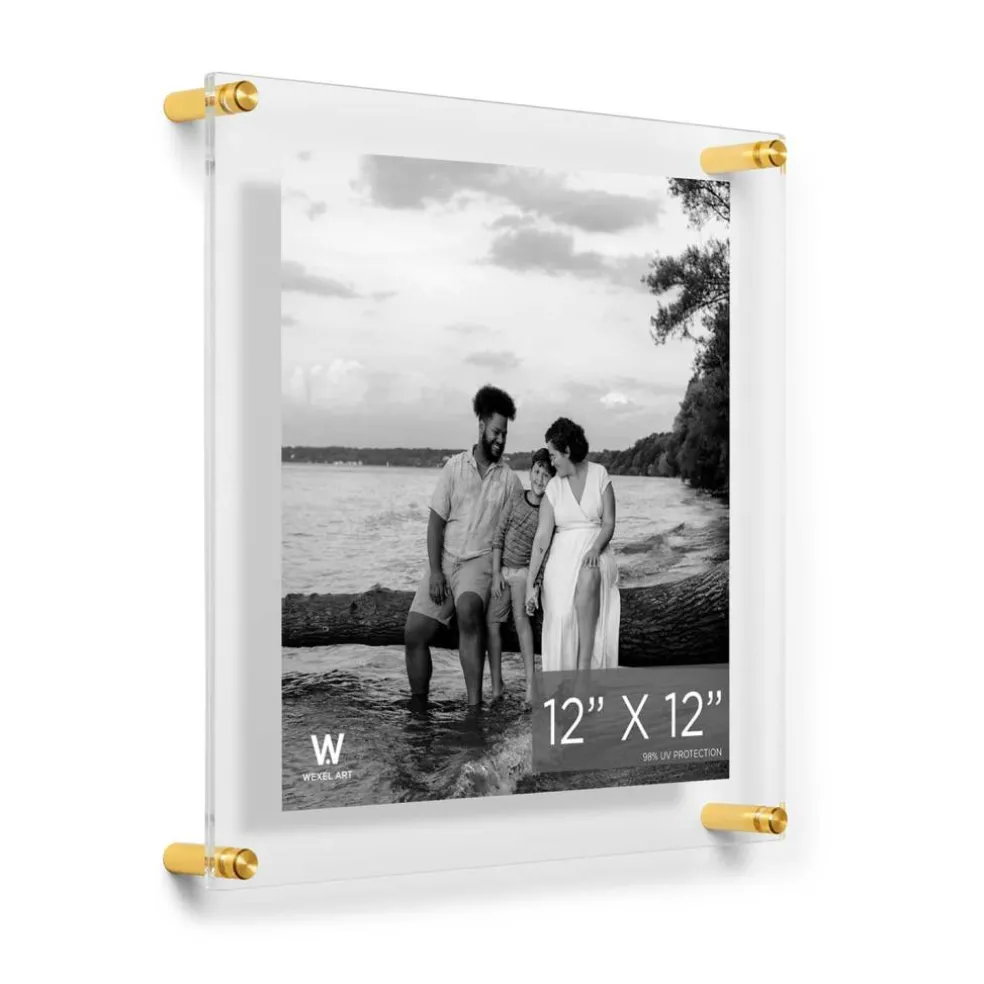 Wexel Art Double Panel Clear Acrylic Floating Wall Frame with Gold Hardware