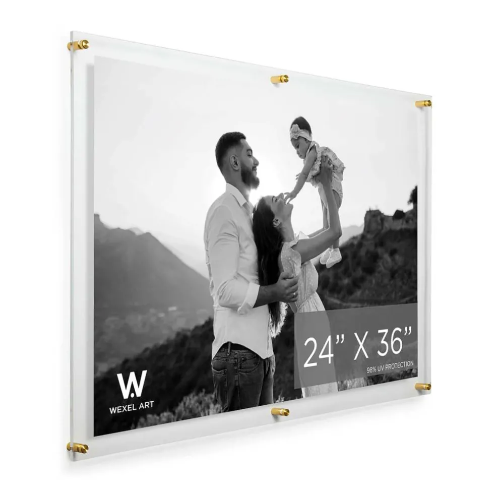 Wexel Art Double Panel Clear Acrylic Floating Wall Frame with Gold Hardware