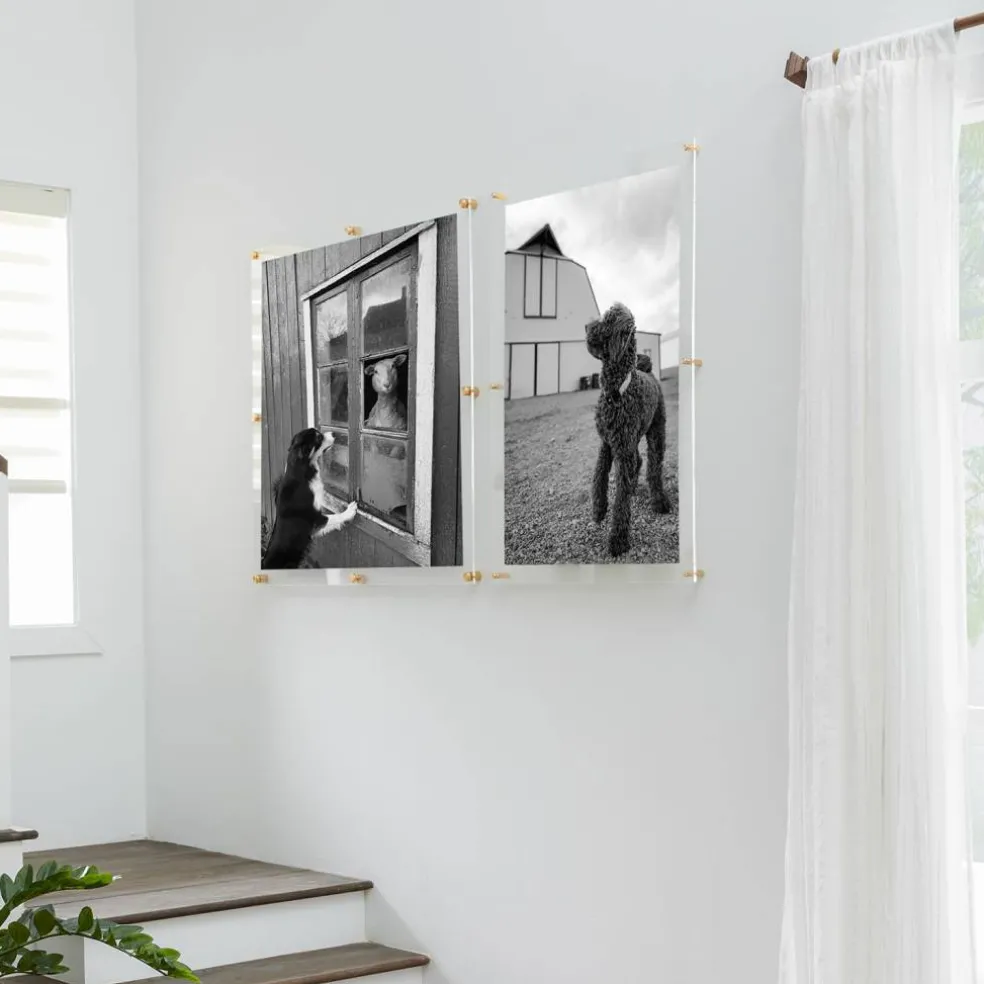 Wexel Art Double Panel Clear Acrylic Floating Wall Frame with Gold Hardware