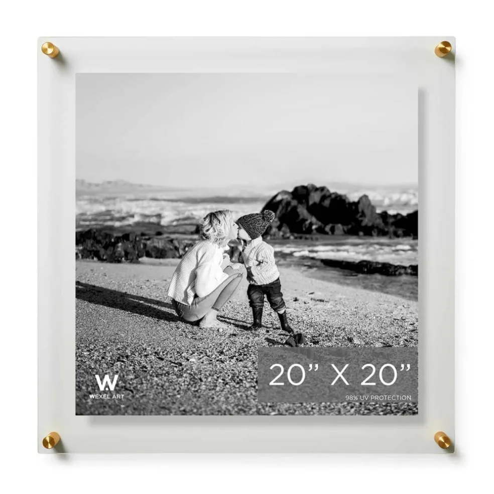 Wexel Art Double Panel Clear Acrylic Floating Wall Frame with Gold Hardware