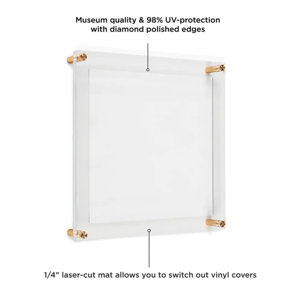 Wexel Art 12'' x 12'' Acrylic Floating Frame for Album Covers with Gold Hardware