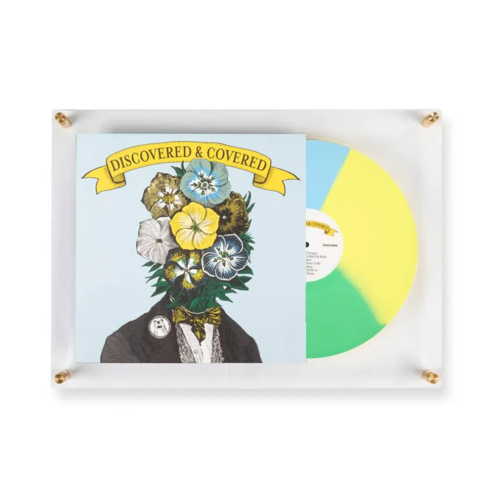 Wexel Art 15" x 21" Vinyl Record Reveal Acrylic Frame