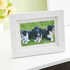White Belmont Frame with Mat by Studio Décor®