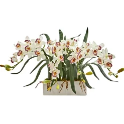15" White Boat Orchid Arrangement in White Vase