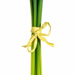 White Calla Lily Bundle
