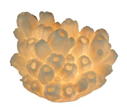 White Faux Tube Coral Decorative Coastal Art Accent Lamp
