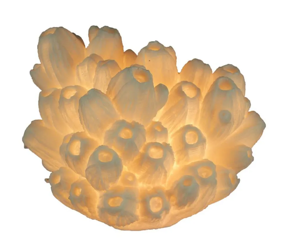 White Faux Tube Coral Decorative Coastal Art Accent Lamp
