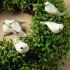 White Feather Birds by Ashland®