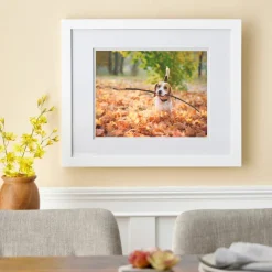 White Gallery Wall Frame with Double Mat by Studio Décor®