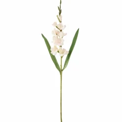 White Gladiolus Stem by Ashland®