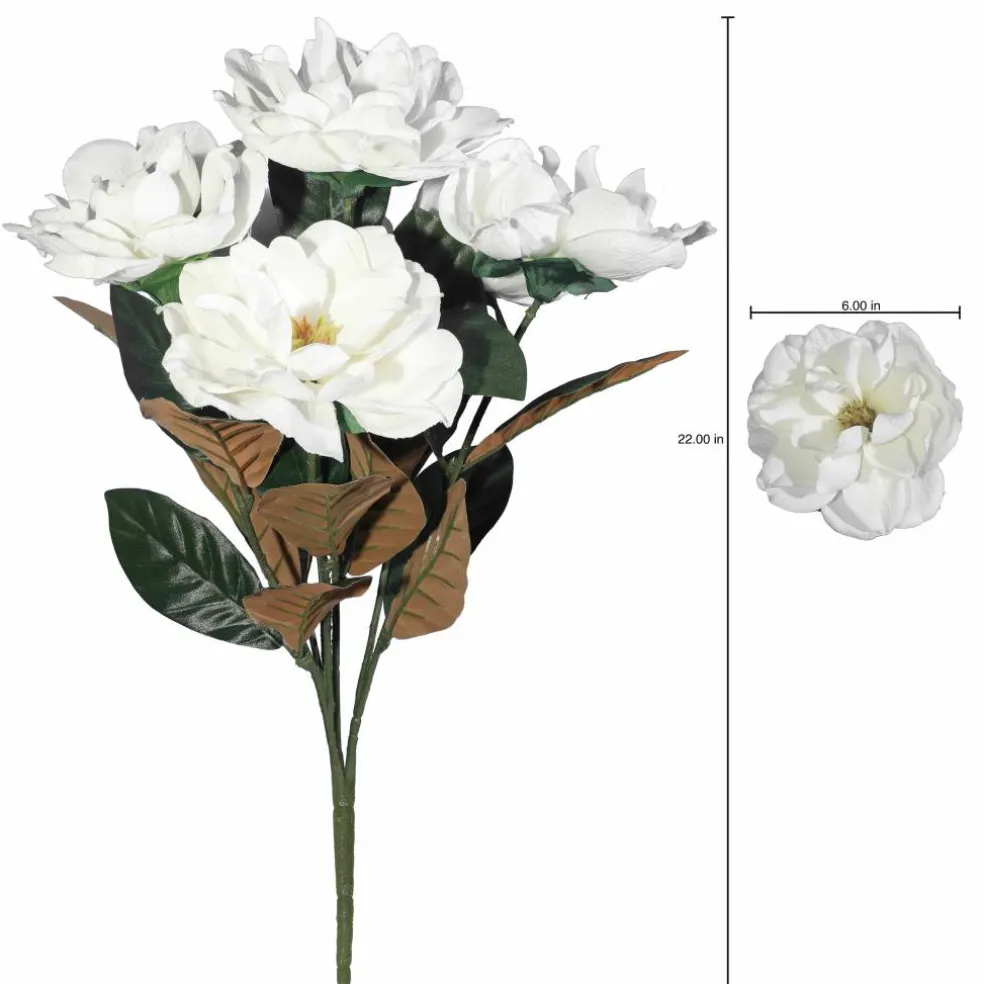 22" White Magnolia Bush by Ashland®