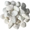 White Marble Rocks by Ashland™