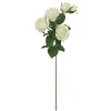27" White Multi Rose Stem by Ashland®
