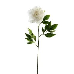 White Peony Stem by Ashland®