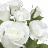 12" White Rose Bush by Ashland®